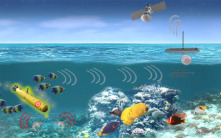 DARPA program to leverage marine organisms for DoD maritime hardware