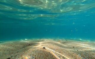 Photo: Unsplash/Aishwarya MV