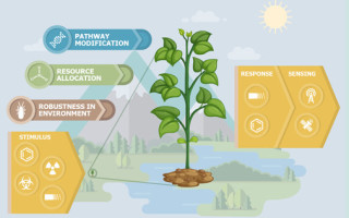 DARPA's new program aims to turn plants into sensors