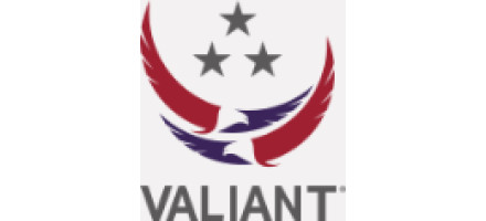 Valiant Integrated Services Valiant Integrated Services