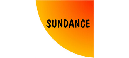 Sundance Multiprocessor Technology